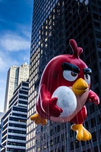 Find Out Why The Birds Are So Angry…